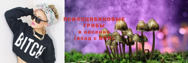 герыч Арсеньев