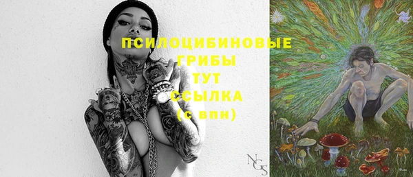 герыч Арсеньев