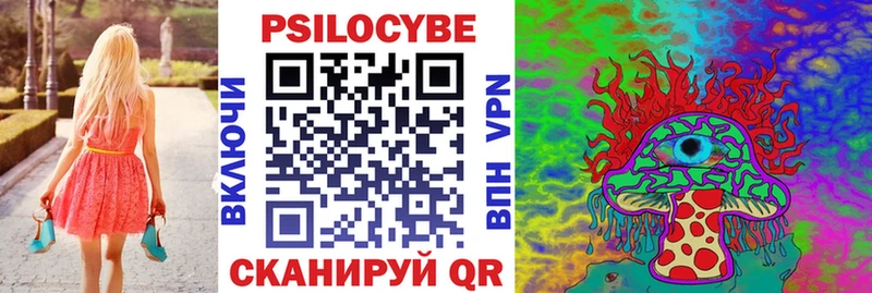 Псилоцибиновые грибы Psilocybe купить наркоту Ужур